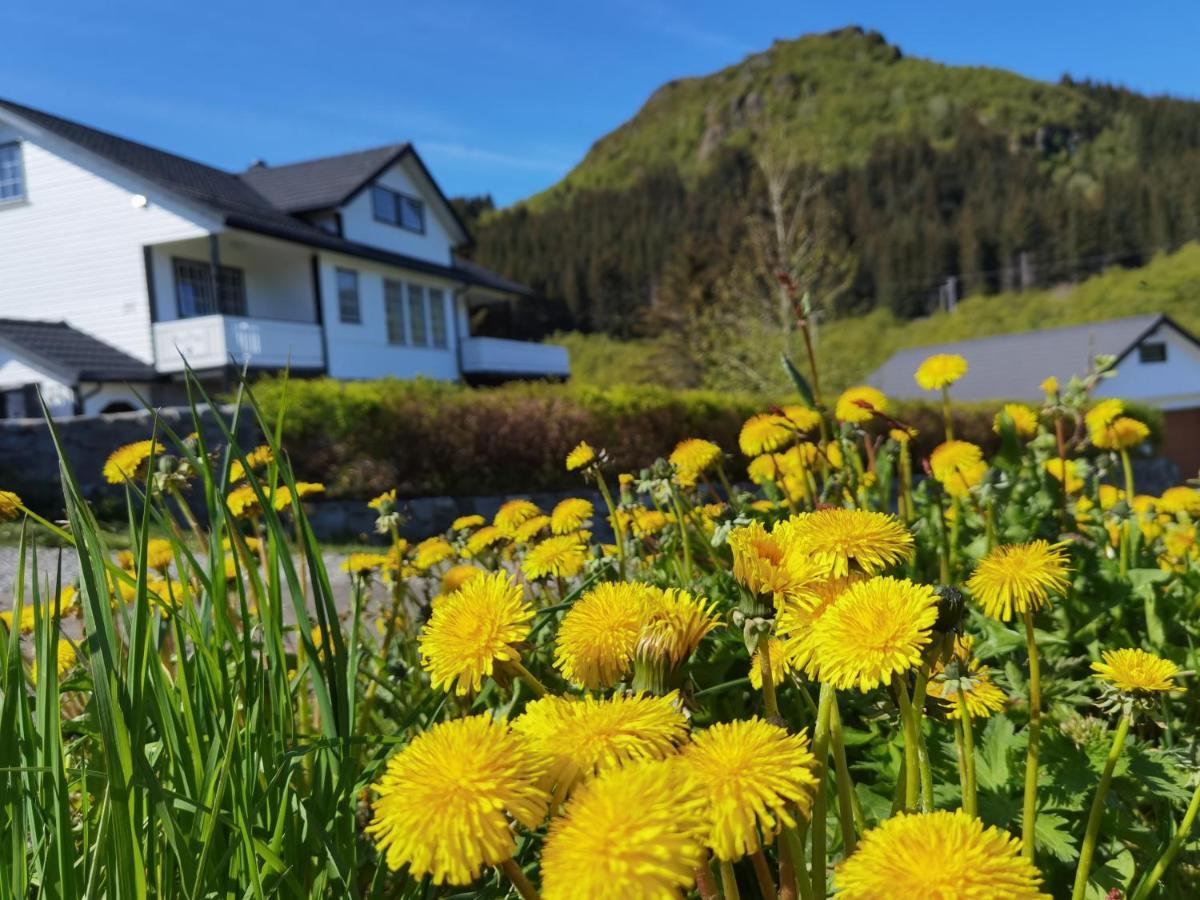 Banpim Hillside Lofoten With Jacusszi Gravdal  Extérieur photo